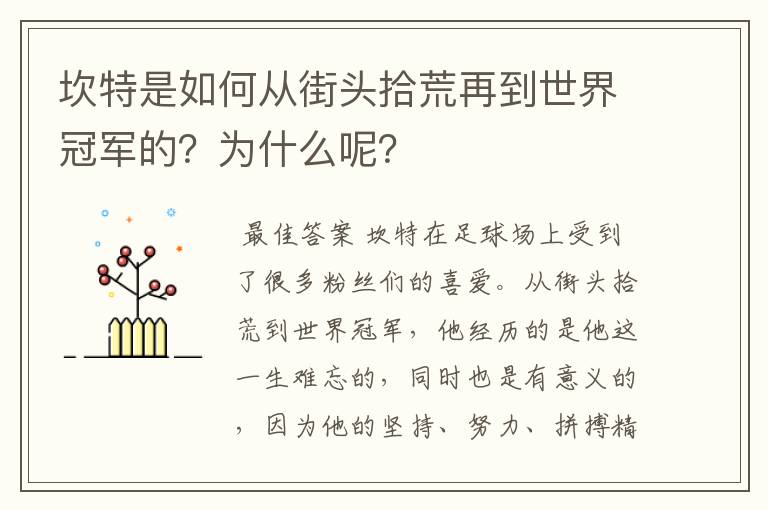 坎特是如何从街头拾荒再到世界冠军的?为什么呢?