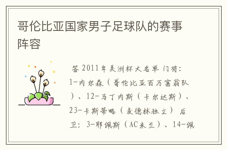 哥伦比亚国家男子足球队的赛事阵容