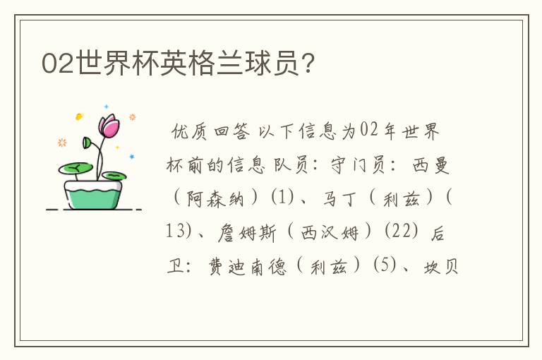 02世界杯英格兰球员?