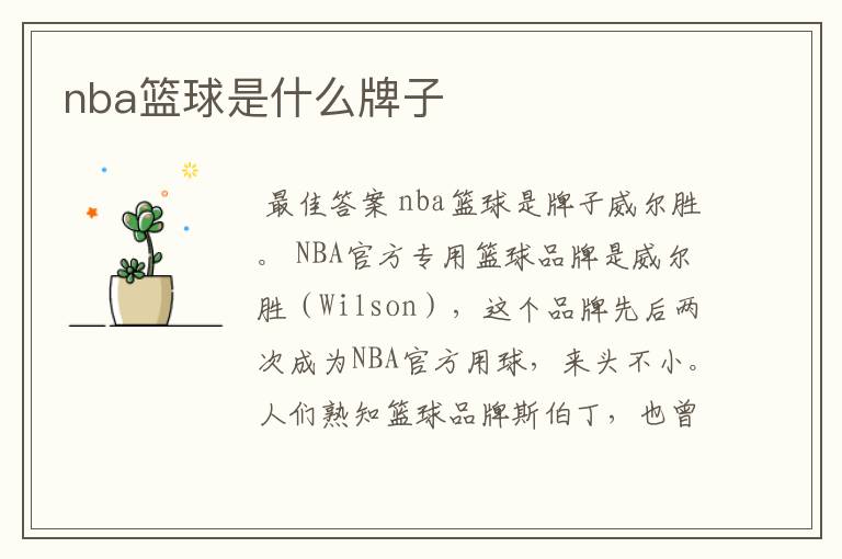 nba篮球是什么牌子