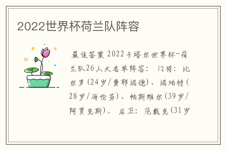 2022世界杯荷兰队阵容