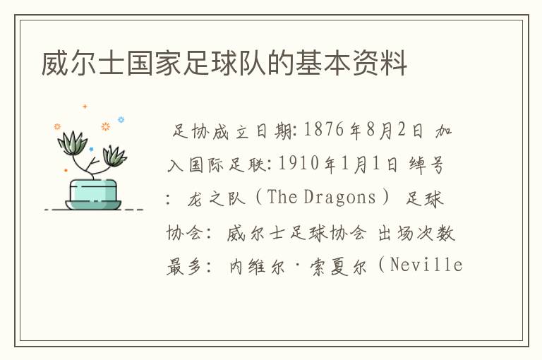 威尔士国家足球队的基本资料