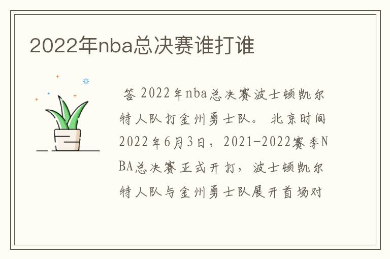2022年nba总决赛谁打谁