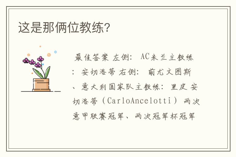 这是那俩位教练?