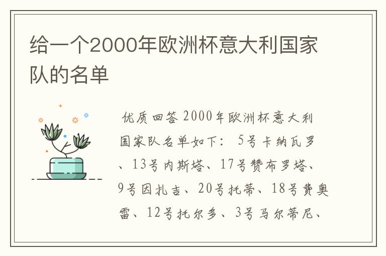给一个2000年欧洲杯意大利国家队的名单