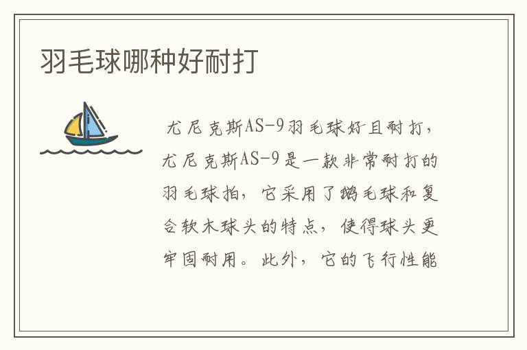 羽毛球哪种好耐打