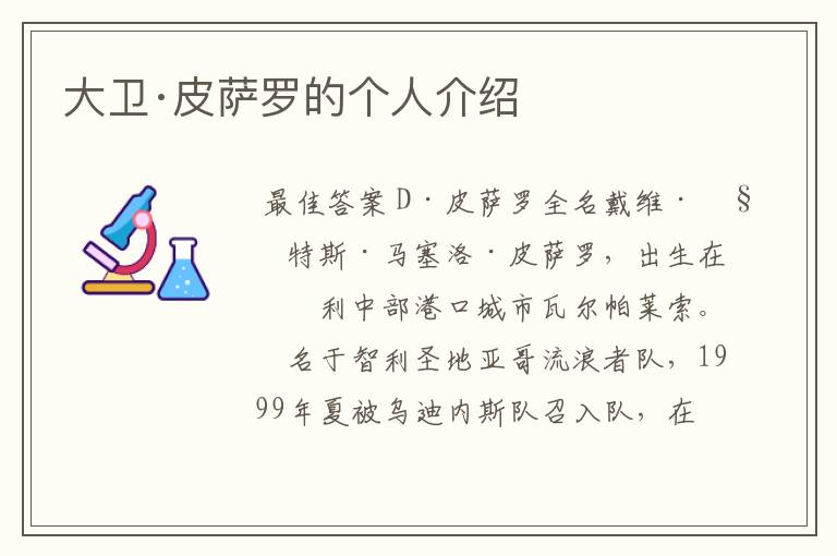 大卫·皮萨罗的个人介绍