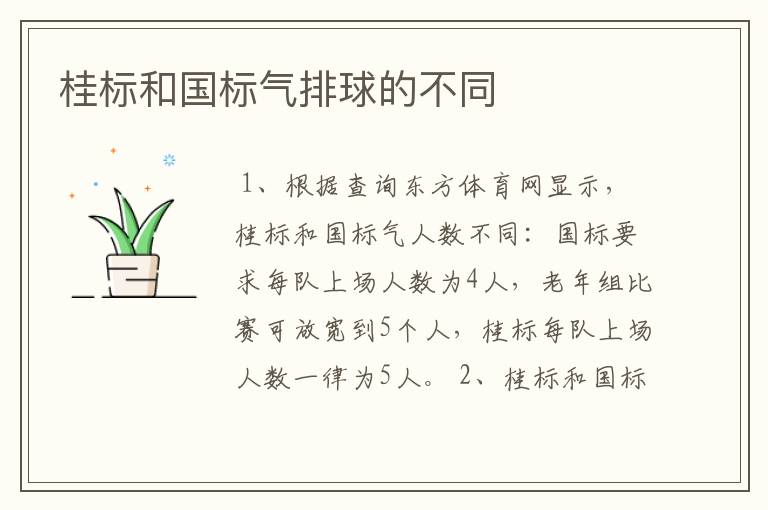 桂标和国标气排球的不同