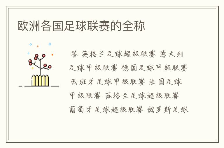 欧洲各国足球联赛的全称