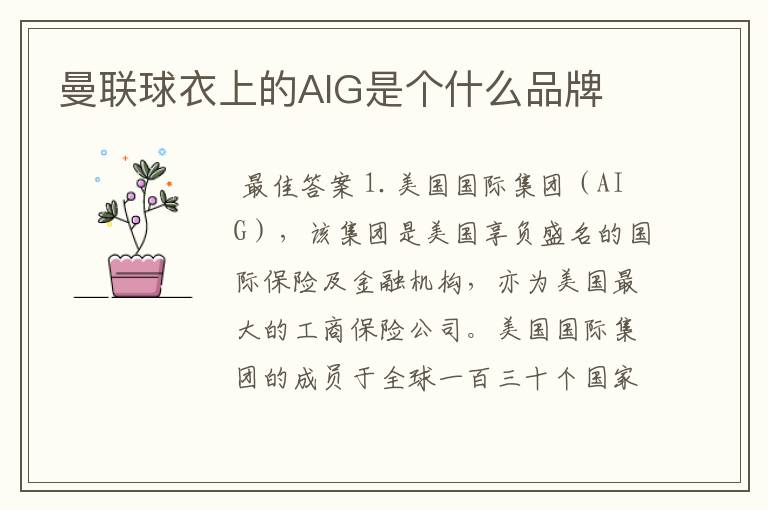 曼联球衣上的AIG是个什么品牌