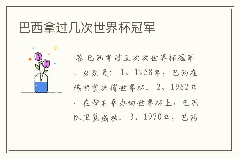 巴西拿过几次世界杯冠军