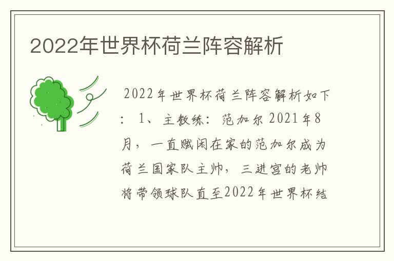 2022年世界杯荷兰阵容解析