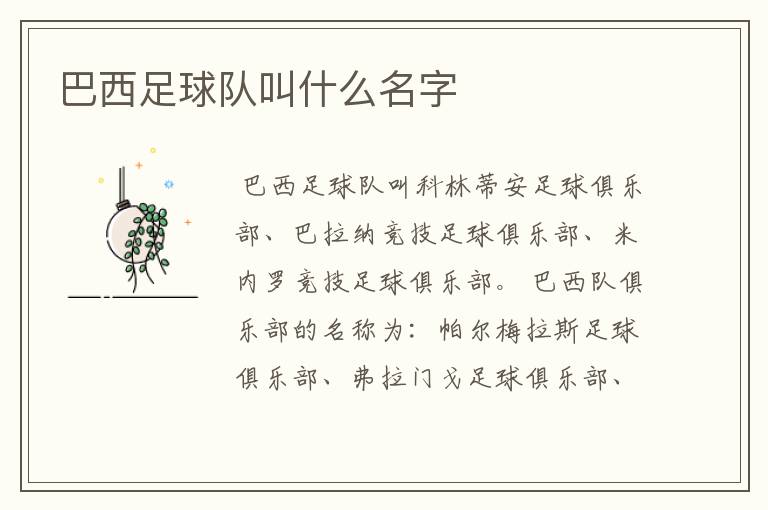 巴西足球队叫什么名字