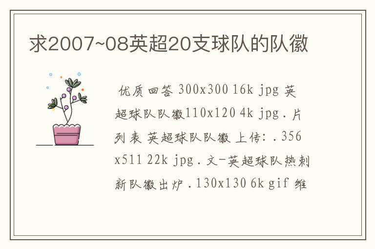 求2007~08英超20支球队的队徽