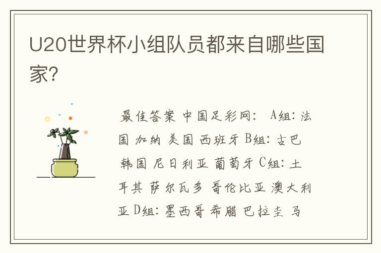 U20世界杯小组队员都来自哪些国家？