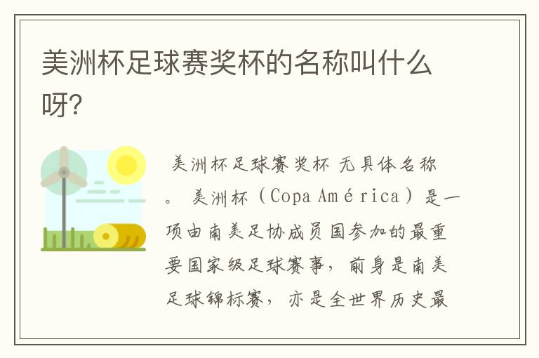 美洲杯足球赛奖杯的名称叫什么呀?