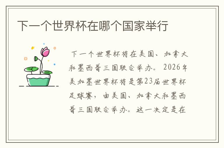 下一个世界杯在哪个国家举行