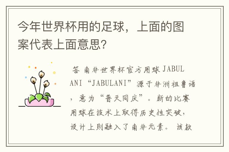 今年世界杯用的足球,上面的图案代表上面意思?