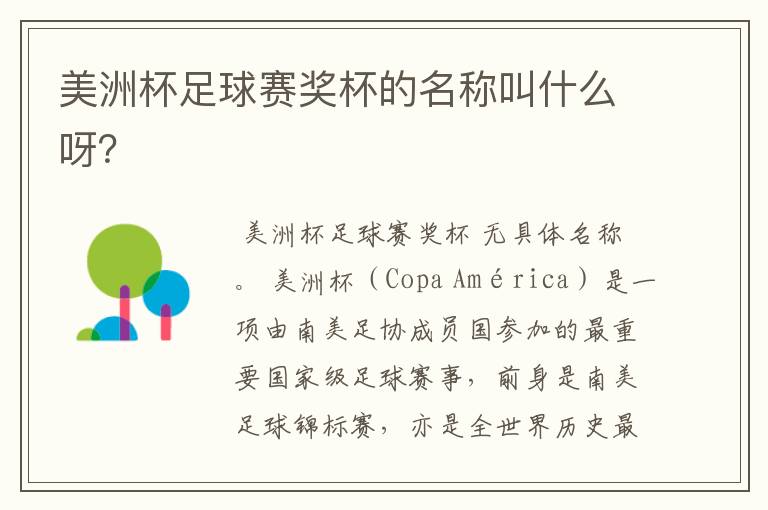 美洲杯足球赛奖杯的名称叫什么呀?