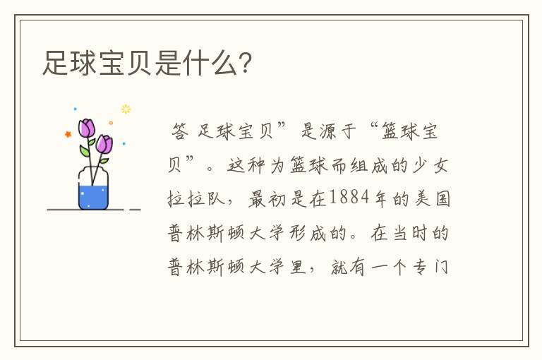 足球宝贝是什么?