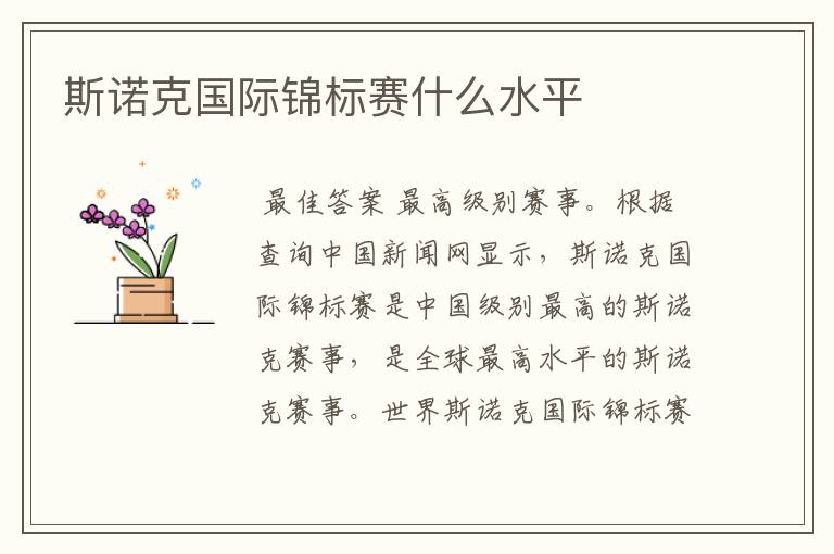 斯诺克国际锦标赛什么水平