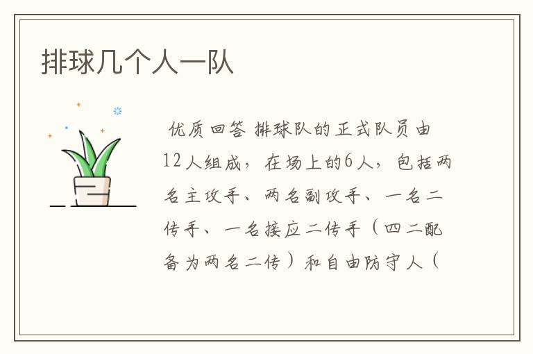 排球几个人一队