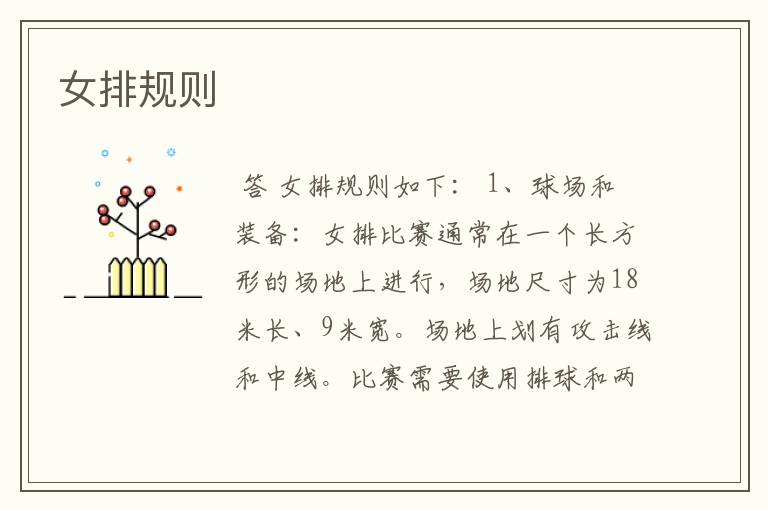 女排规则
