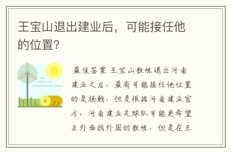 王宝山退出建业后,可能接任他的位置?
