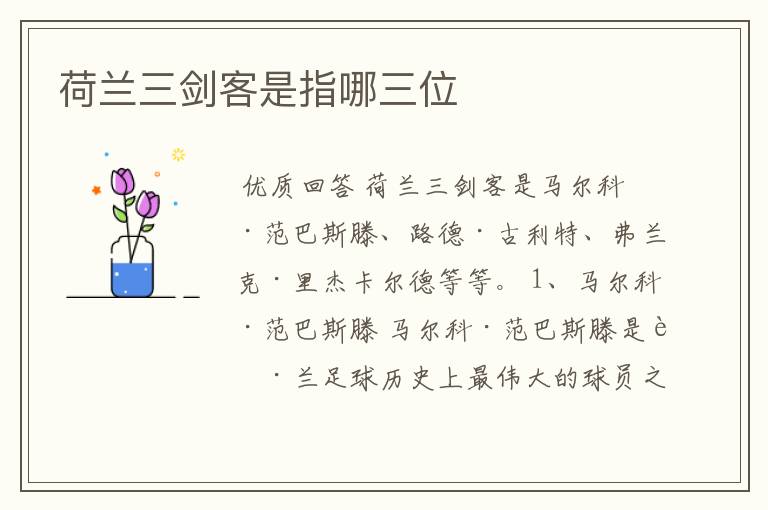 荷兰三剑客是指哪三位