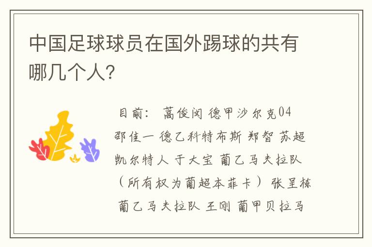 中国足球球员在国外踢球的共有哪几个人?