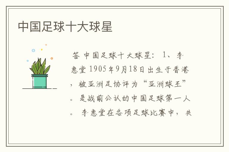 中国足球十大球星