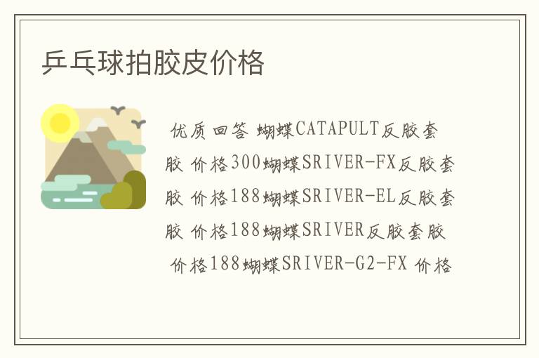 乒乓球拍胶皮价格