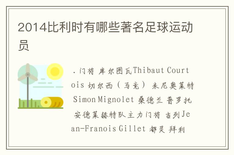 2014比利时有哪些著名足球运动员