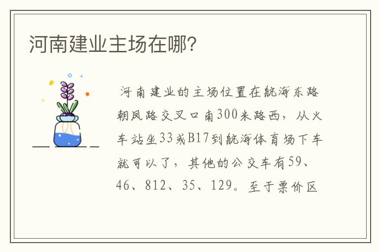 河南建业主场在哪?