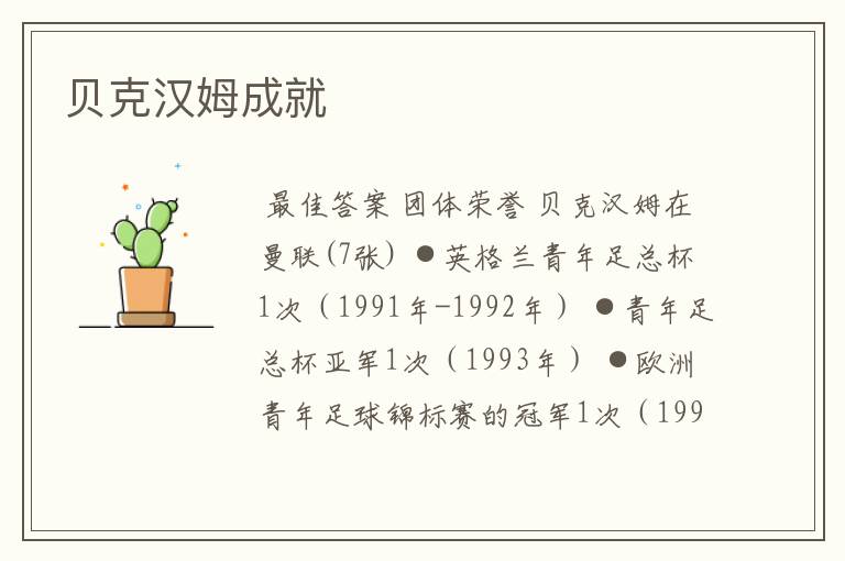 贝克汉姆成就