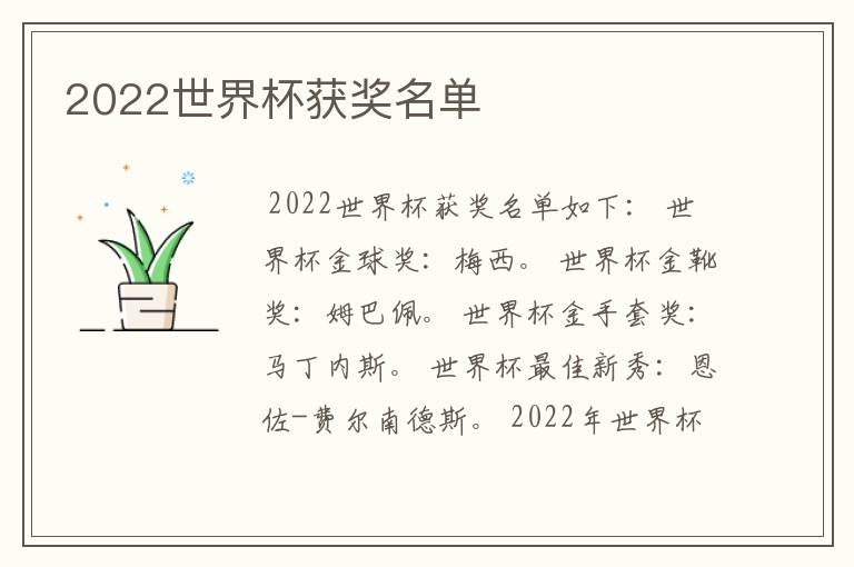 2022世界杯获奖名单