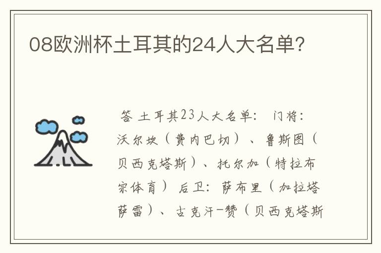 08欧洲杯土耳其的24人大名单?