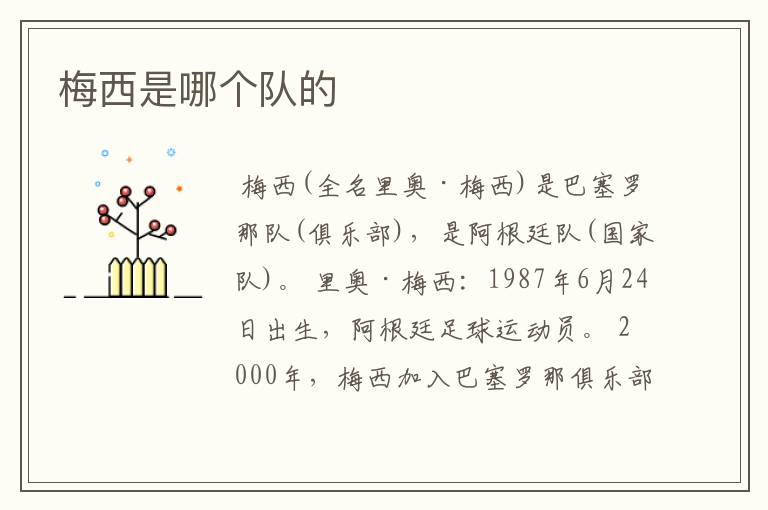 梅西是哪个队的