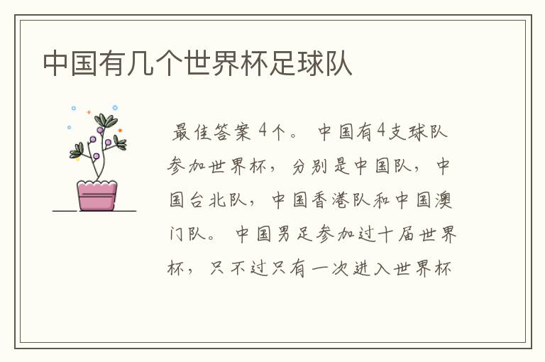 中国有几个世界杯足球队