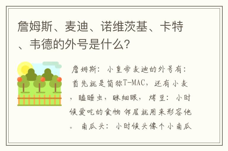 詹姆斯、麦迪、诺维茨基、卡特、韦德的外号是什么?