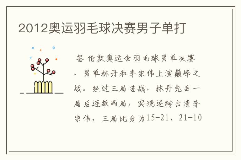 2012奥运羽毛球决赛男子单打