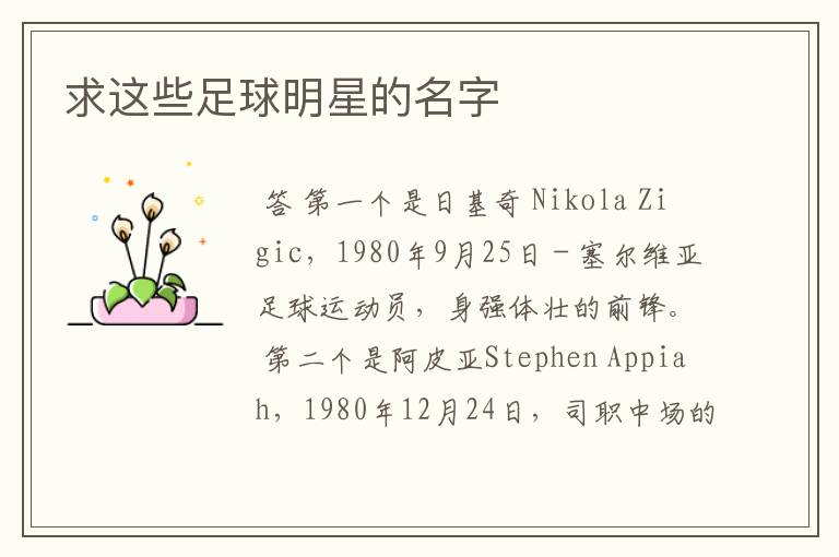 求这些足球明星的名字