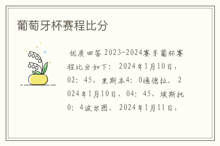 葡萄牙杯赛程比分