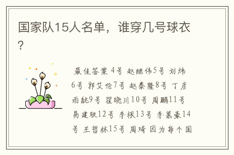 国家队15人名单,谁穿几号球衣?