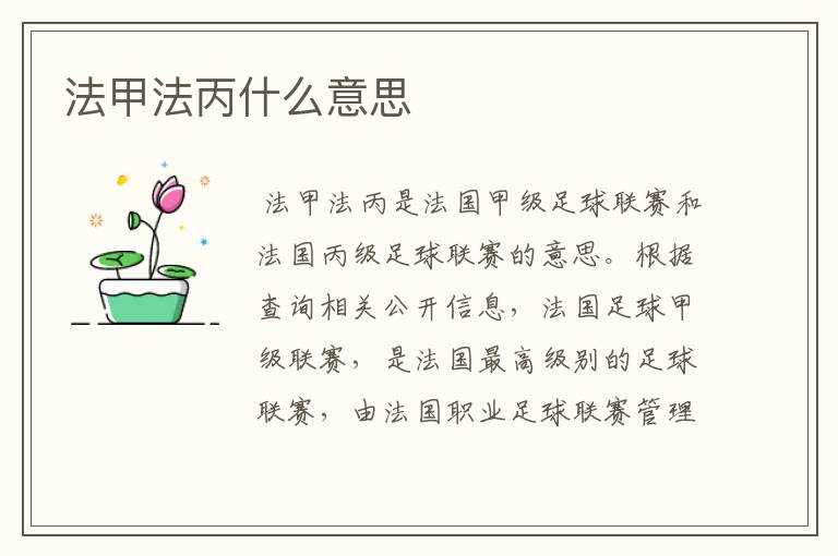 法甲法丙什么意思