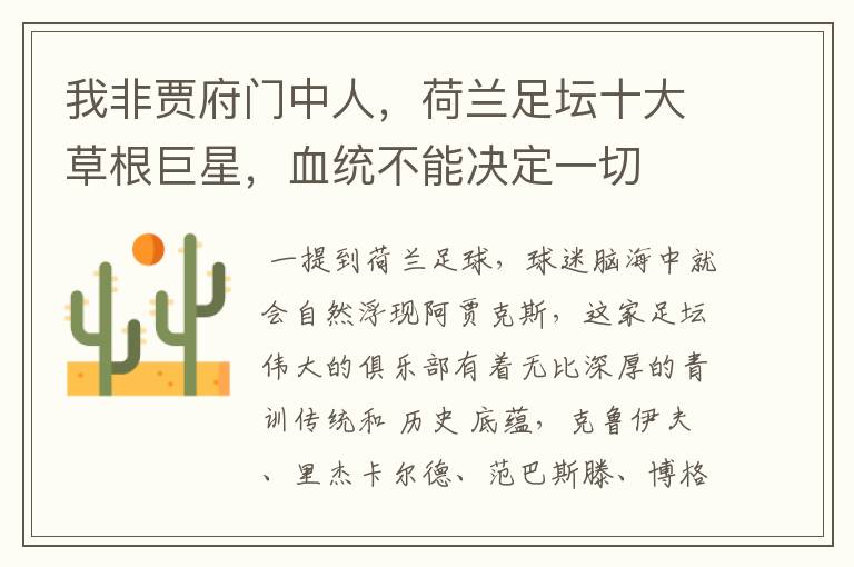 我非贾府门中人,荷兰足坛十大草根巨星,血统不能决定一切