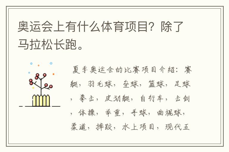 奥运会上有什么体育项目?除了马拉松长跑。