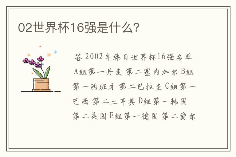 02世界杯16强是什么?