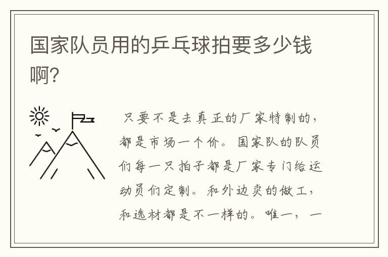 国家队员用的乒乓球拍要多少钱啊?