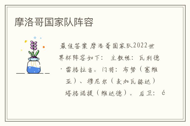 摩洛哥国家队阵容